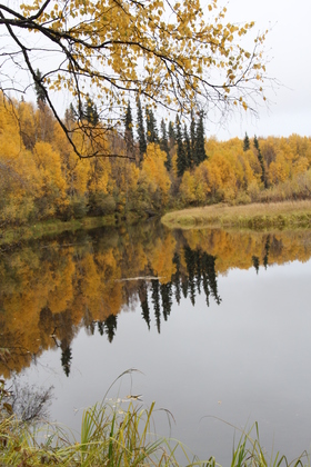 Chena Lakes Recreaation Area