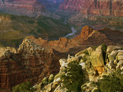 Grand Canyon National Park
