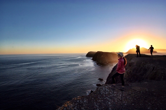 Channel Island National Park - Anacapa Island 