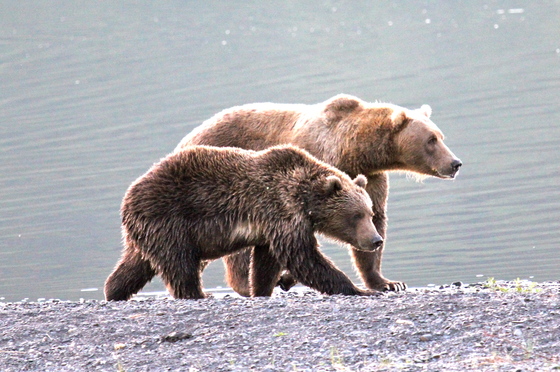 US Fish & Wildlife Service Kodiak National Wildlife Refuge