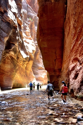 Zion National Park 