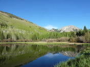 Manti-La Sal National Forest