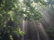 Great Smoky Mountains