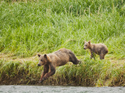 Katmai National Park