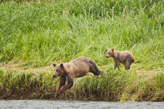 Katmai National Park