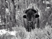 Grand Teton National Park