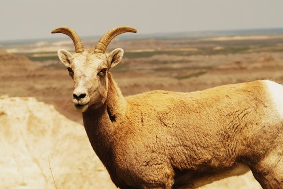 Badlands National Park