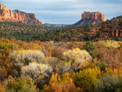 Coconino National Forest