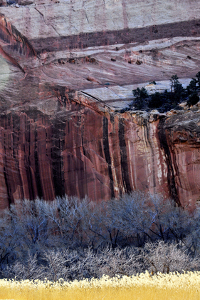 Capital Reef National Park