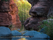 Coconino National Forest
