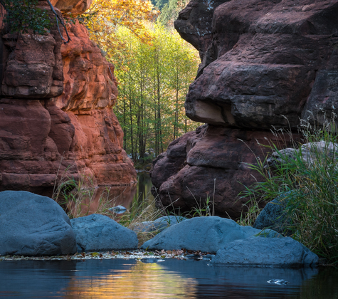 Coconino National Forest