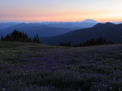 Goat Rocks Wilderness Area