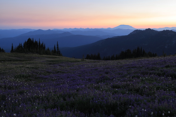 Goat Rocks Wilderness Area