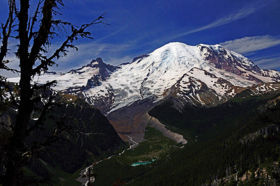 Mt. Rainier National Park