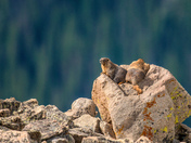 Rocky Mountain National Park