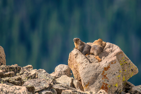 Rocky Mountain National Park