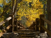 Yosemite National Park