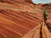 Paria Canyon-Vermillion Cliffs Wilderness