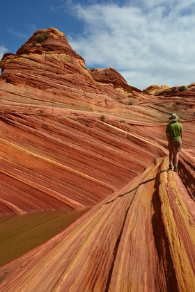 Paria Canyon-Vermillion Cliffs Wilderness