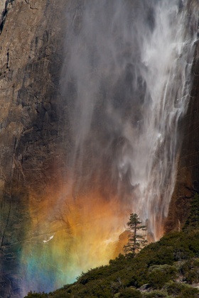 Yosemite National Park