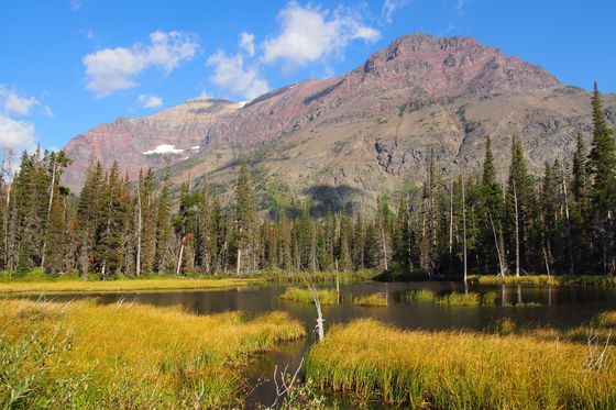 Glacier National Park