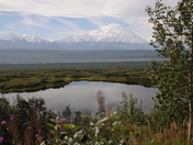 Denali National Park
