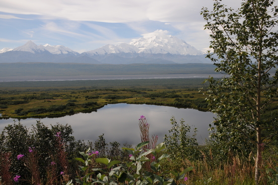 Denali National Park