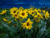 Grand Teton National Park