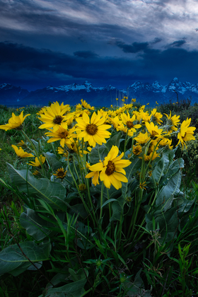 Grand Teton National Park