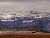 Gallatin National Forest