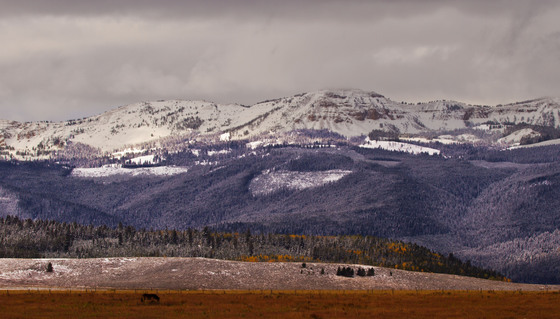 Gallatin National Forest