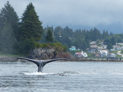 Admiralty Island National Monument