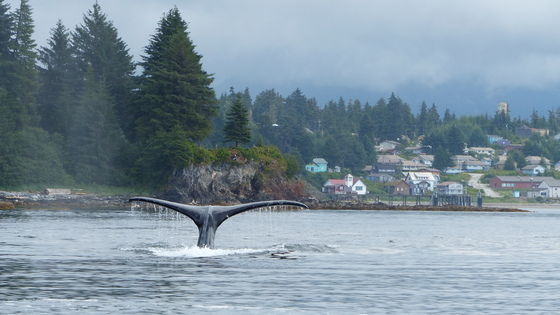 Admiralty Island National Monument