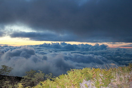 Haleakala National Park