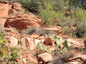 Zion National Park