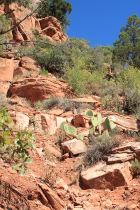 Zion National Park