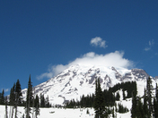 Mt. Rainier National Park