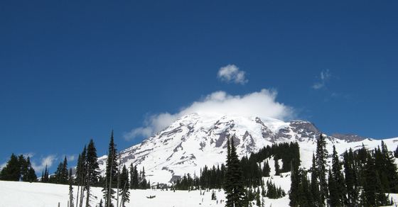 Mt. Rainier National Park