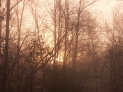 Patuxent Wildlife Refuge