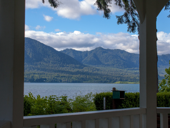 Olympic National Forest