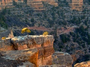 Grand Canyon South Rim