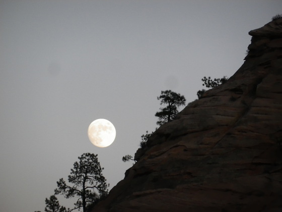 ZION NATIONAL PARK, UTAH