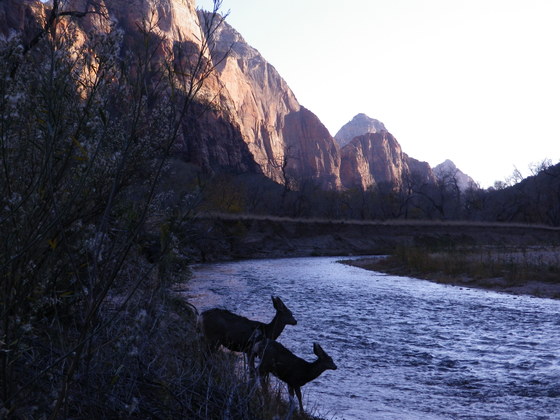 Zion National Park