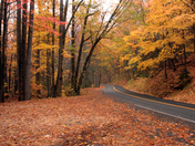 Great Smoky Mountains National Park
