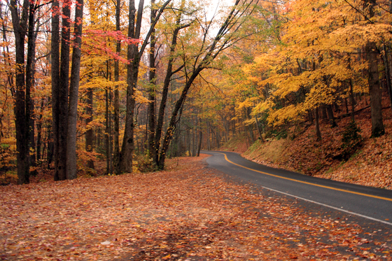 Great Smoky Mountains National Park