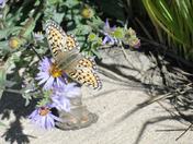 Little Bighorn National Park