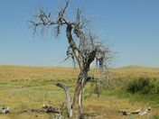 Big Horn National Park