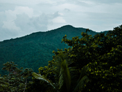 El Yunque / Puerto Rico 