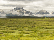 Grand Teton National Park
