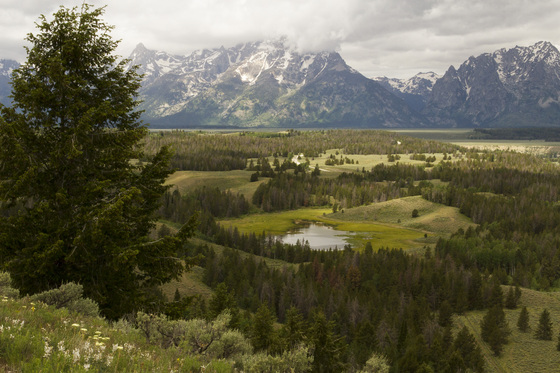 Grand Teton National Park
